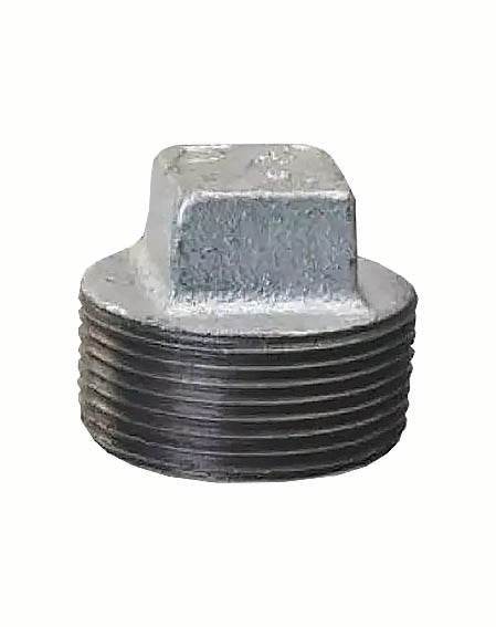 DOMESTIC 2" Galvanized Plug